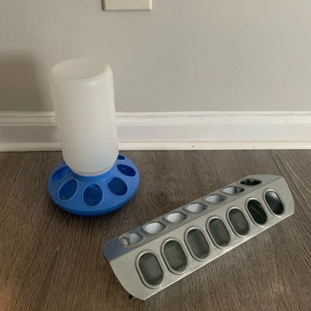 Duck bird feeders